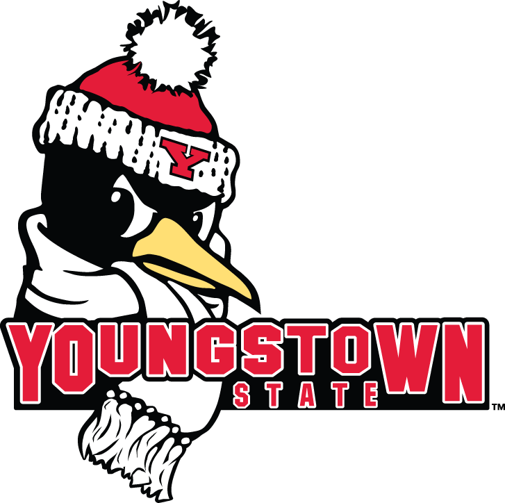 Youngstown State Penguins 2006-Pres Secondary Logo t shirts DIY iron ons